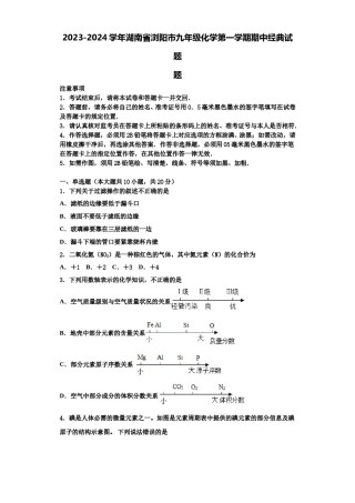 2023-2024学年湖南省浏阳市九年级化学第一学期期中经典试题含解析.doc