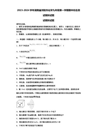 2023-2024学年湖南省浏阳市化学九年级第一学期期中综合测试模拟试题含解析.doc