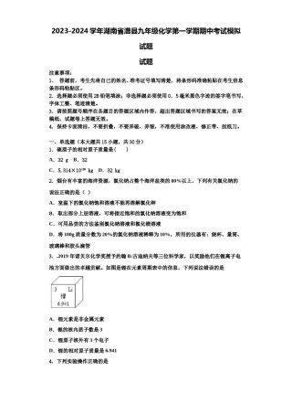 2023-2024学年湖南省澧县九年级化学第一学期期中考试模拟试题含解析.doc
