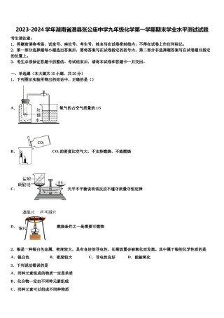 2023-2024学年湖南省澧县张公庙中学九年级化学第一学期期末学业水平测试试题含解析.doc