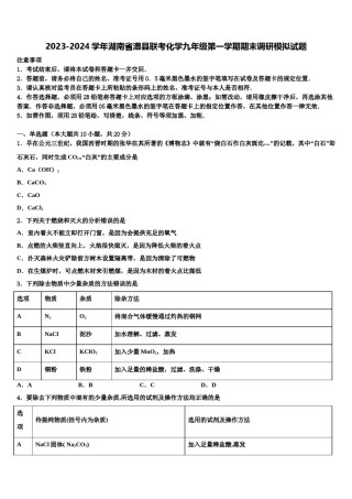 2023-2024学年湖南省澧县联考化学九年级第一学期期末调研模拟试题含解析.doc