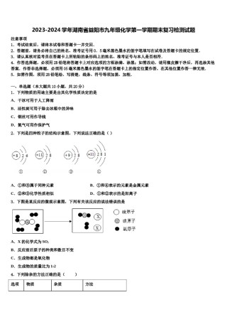 2023-2024学年湖南省益阳市九年级化学第一学期期末复习检测试题含解析.doc