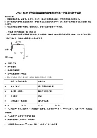 2023-2024学年湖南省益阳市九年级化学第一学期期末联考试题含解析.doc