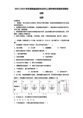 2023-2024学年湖南省益阳市化学九上期中教学质量检测模拟试题含解析.doc