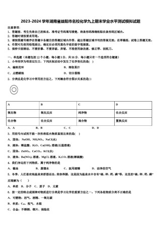 2023-2024学年湖南省益阳市名校化学九上期末学业水平测试模拟试题含解析.doc