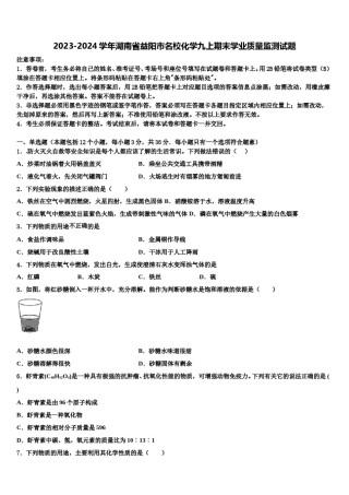 2023-2024学年湖南省益阳市名校化学九上期末学业质量监测试题含解析.doc