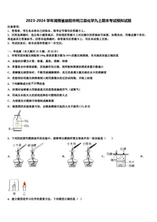 2023-2024学年湖南省益阳市桃江县化学九上期末考试模拟试题含解析.doc