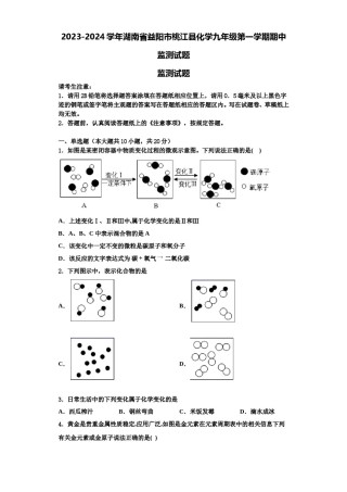 2023-2024学年湖南省益阳市桃江县化学九年级第一学期期中监测试题含解析.doc