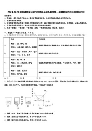 2023-2024学年湖南省益阳市桃江县化学九年级第一学期期末达标检测模拟试题含解析.doc