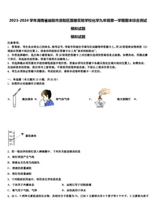 2023-2024学年湖南省益阳市资阳区国基实验学校化学九年级第一学期期末综合测试模拟试题含解析.doc