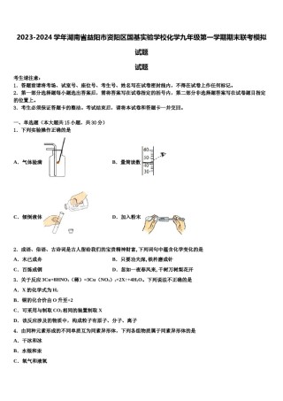 2023-2024学年湖南省益阳市资阳区国基实验学校化学九年级第一学期期末联考模拟试题含解析.doc