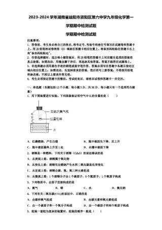 2023-2024学年湖南省益阳市资阳区第六中学九年级化学第一学期期中检测试题含解析.doc
