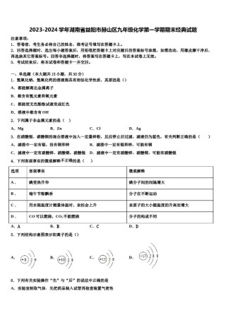 2023-2024学年湖南省益阳市赫山区九年级化学第一学期期末经典试题含解析.doc