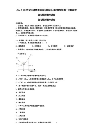 2023-2024学年湖南省益阳市赫山区化学九年级第一学期期中复习检测模拟试题含解析.doc