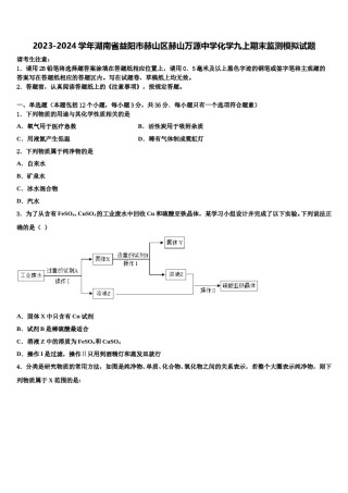 2023-2024学年湖南省益阳市赫山区赫山万源中学化学九上期末监测模拟试题含解析.doc