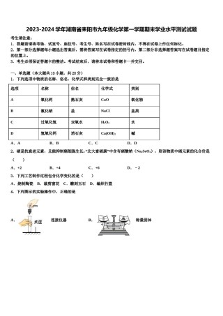 2023-2024学年湖南省耒阳市九年级化学第一学期期末学业水平测试试题含解析.doc