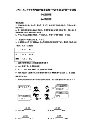 2023-2024学年湖南省耒阳市冠湘中学九年级化学第一学期期中检测试题含解析.doc