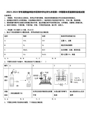 2023-2024学年湖南省耒阳市冠湘中学化学九年级第一学期期末质量跟踪监视试题含解析.doc