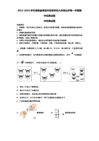 2023-2024学年湖南省耒阳市冠湘学校九年级化学第一学期期中经典试题含解析.doc