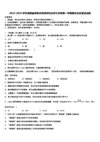 2023-2024学年湖南省耒阳市冠湘学校化学九年级第一学期期末达标测试试题含解析.doc