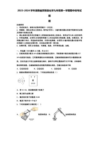 2023-2024学年湖南省茶陵县化学九年级第一学期期中统考试题含解析.doc