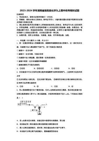 2023-2024学年湖南省衡阳县化学九上期中统考模拟试题含解析.doc