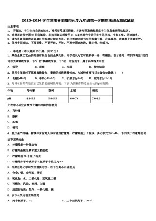 2023-2024学年湖南省衡阳市化学九年级第一学期期末综合测试试题含解析.doc