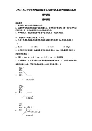 2023-2024学年湖南省衡阳市名校化学九上期中质量跟踪监视模拟试题含解析.doc