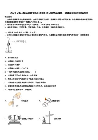 2023-2024学年湖南省衡阳市耒阳市化学九年级第一学期期末监测模拟试题含解析.doc