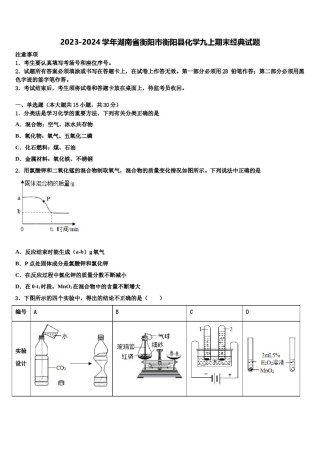 2023-2024学年湖南省衡阳市衡阳县化学九上期末经典试题含解析.doc