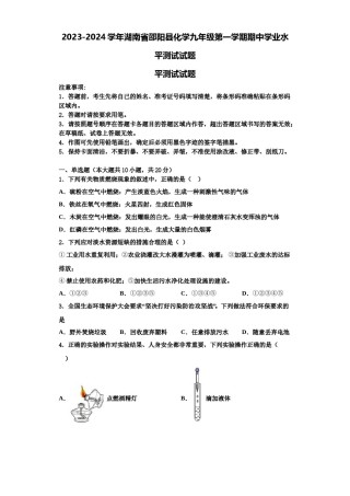 2023-2024学年湖南省邵阳县化学九年级第一学期期中学业水平测试试题含解析.doc