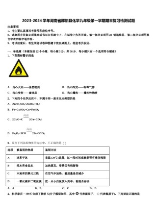 2023-2024学年湖南省邵阳县化学九年级第一学期期末复习检测试题含解析.doc