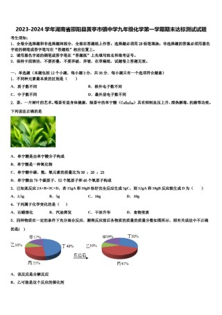 2023-2024学年湖南省邵阳县黄亭市镇中学九年级化学第一学期期末达标测试试题含解析.doc