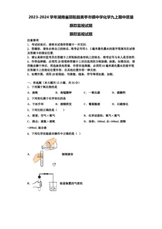 2023-2024学年湖南省邵阳县黄亭市镇中学化学九上期中质量跟踪监视试题含解析.doc