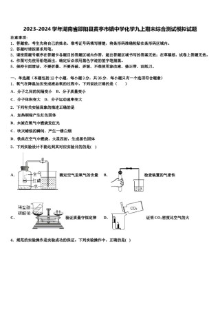 2023-2024学年湖南省邵阳县黄亭市镇中学化学九上期末综合测试模拟试题含解析.doc