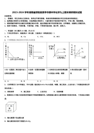 2023-2024学年湖南省邵阳县黄亭市镇中学化学九上期末调研模拟试题含解析.doc
