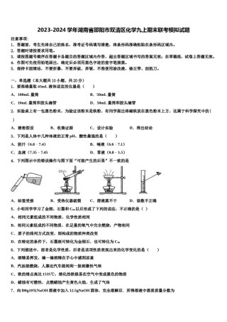 2023-2024学年湖南省邵阳市双清区化学九上期末联考模拟试题含解析.doc