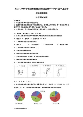 2023-2024学年湖南省邵阳市双清区第十一中学化学九上期中达标测试试题含解析.doc