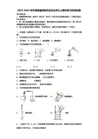 2023-2024学年湖南省邵阳市名校化学九上期中复习检测试题含解析.doc