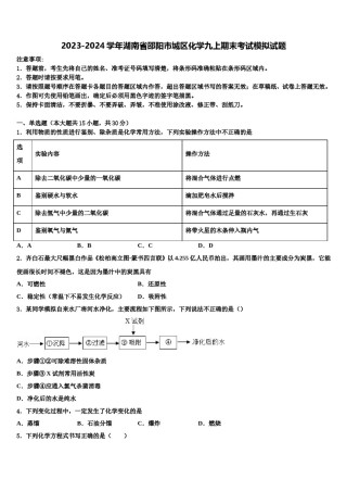 2023-2024学年湖南省邵阳市城区化学九上期末考试模拟试题含解析.doc