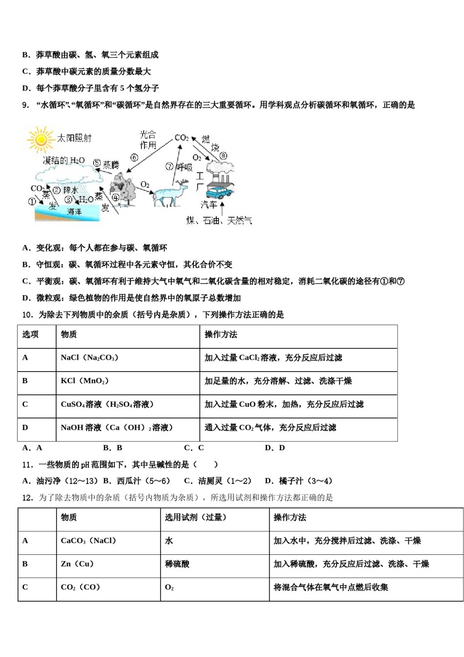2023-2024学年湖南省邵阳市城步县九年级化学第一学期期末经典试题含解析.doc_第3页