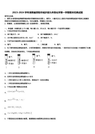2023-2024学年湖南省邵阳市城步县九年级化学第一学期期末经典试题含解析.doc