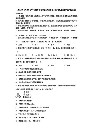2023-2024学年湖南省邵阳市城步县化学九上期中统考试题含解析.doc