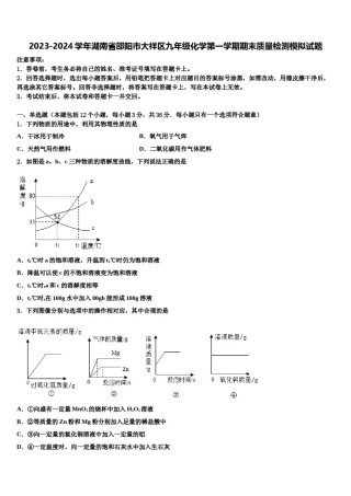 2023-2024学年湖南省邵阳市大祥区九年级化学第一学期期末质量检测模拟试题含解析.doc