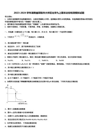 2023-2024学年湖南省邵阳市大祥区化学九上期末达标检测模拟试题含解析.doc