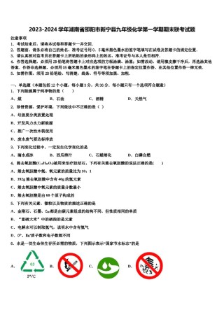 2023-2024学年湖南省邵阳市新宁县九年级化学第一学期期末联考试题含解析.doc