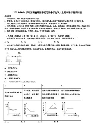 2023-2024学年湖南省邵阳市武冈三中学化学九上期末达标测试试题含解析.doc