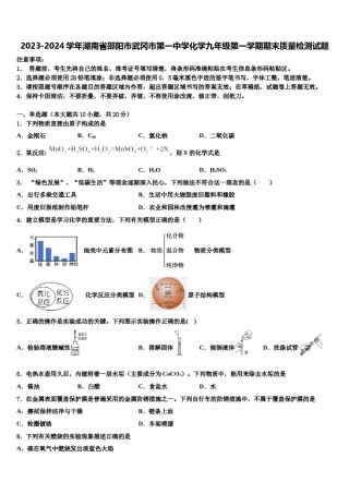 2023-2024学年湖南省邵阳市武冈市第一中学化学九年级第一学期期末质量检测试题含解析.doc