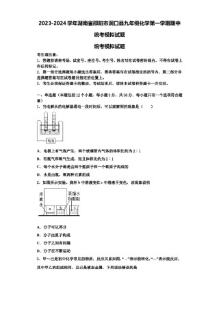 2023-2024学年湖南省邵阳市洞口县九年级化学第一学期期中统考模拟试题含解析.doc