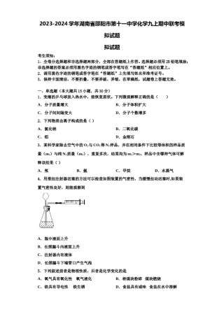 2023-2024学年湖南省邵阳市第十一中学化学九上期中联考模拟试题含解析.doc